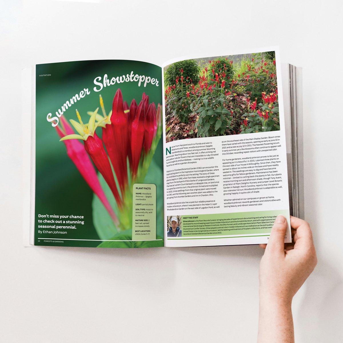 holden-magazine-spread-mockup-square.jpg