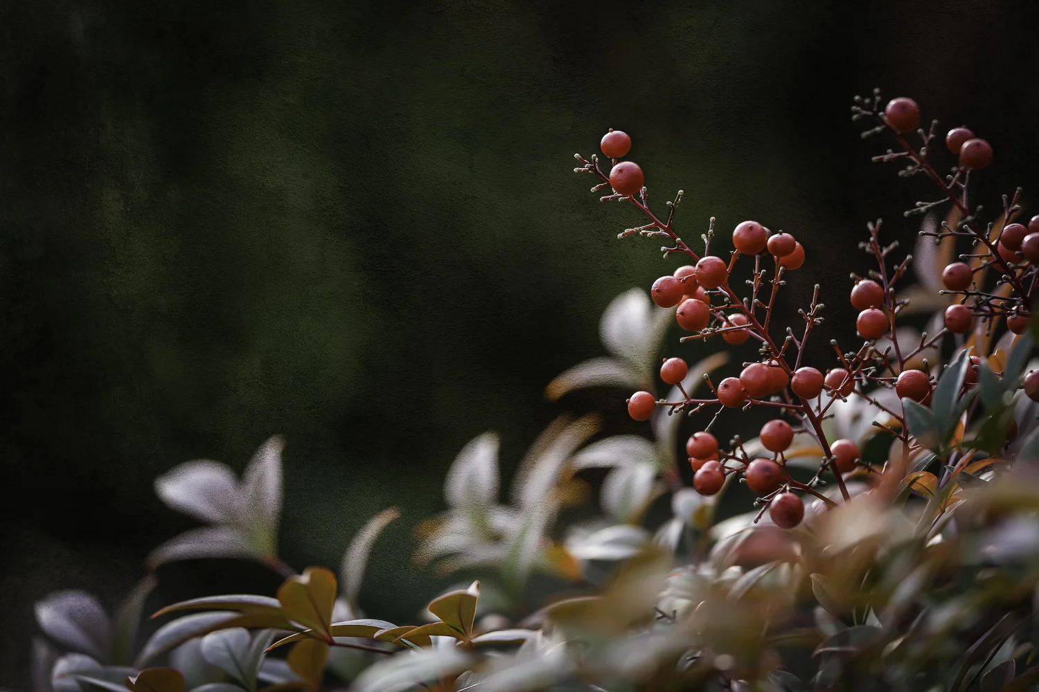 untitled-134-Edit.jpg