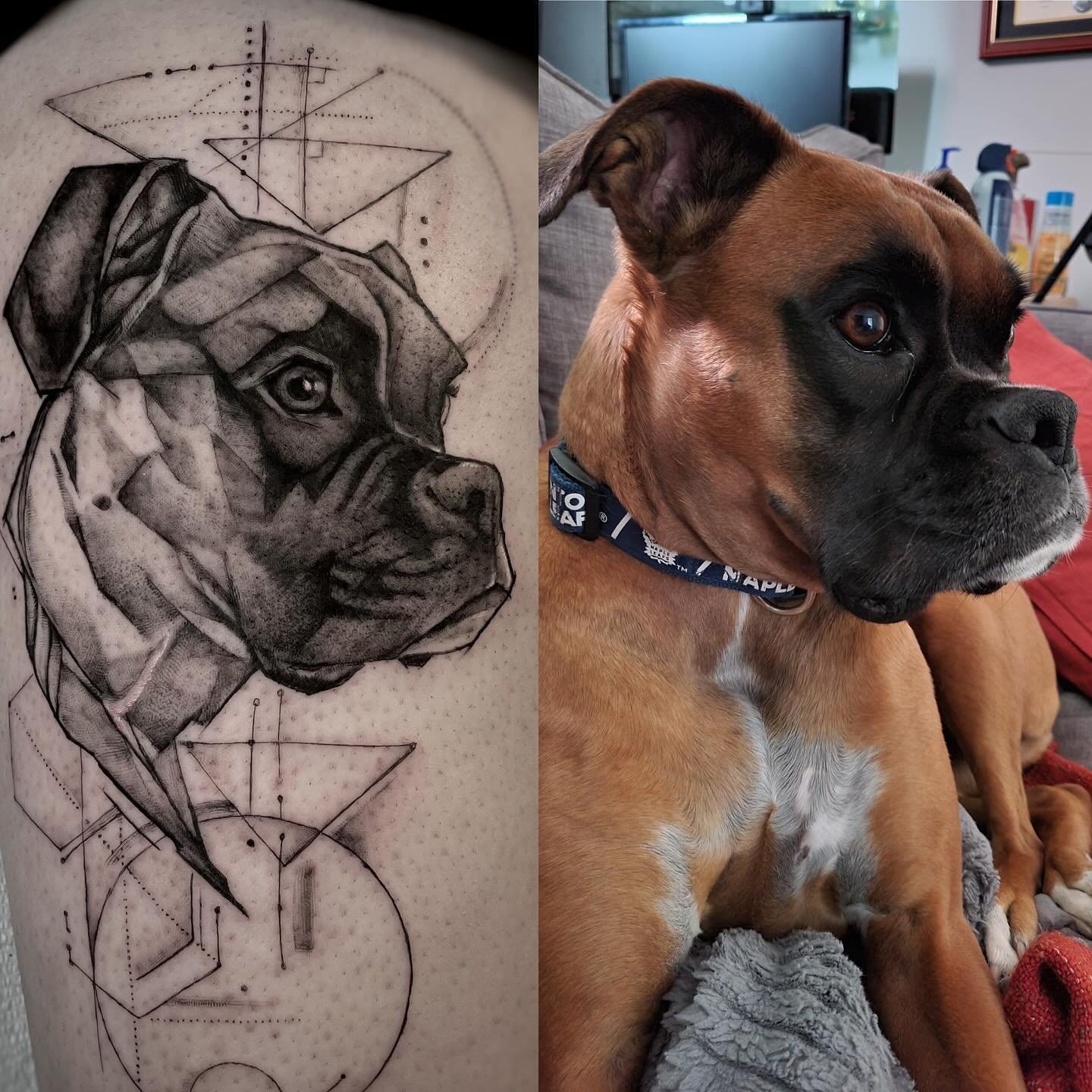&ldquo; I have been looking to get a pet portrait for my dog Zoey who passed away about a year ago and I really think your style is a great fit for what I want. I am also a scientist (mathematician) so I like the idea of incorporating geometric shape