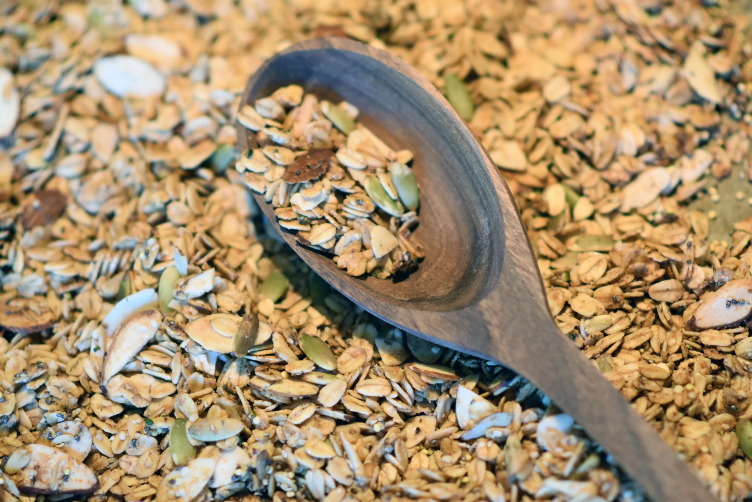 seedy oil free granola