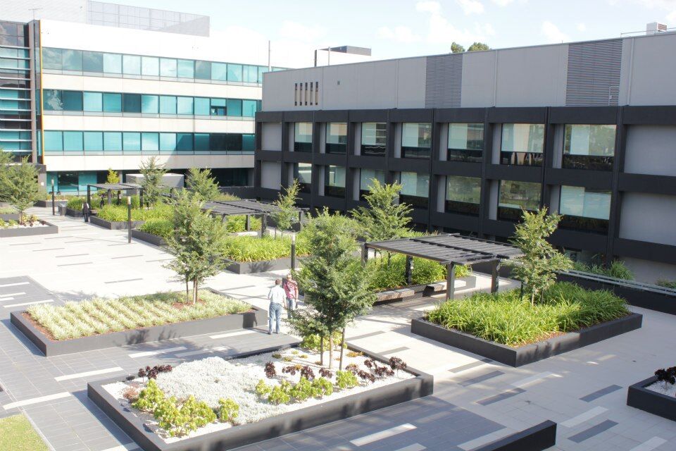 Australand office roof garden 02.jpeg