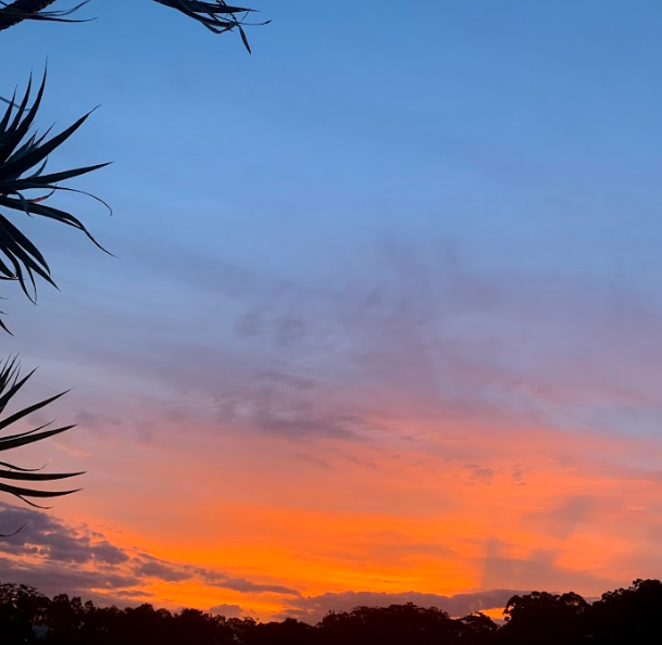 MEDITATION PROBABLY DOES MORE THAN YOU THINK