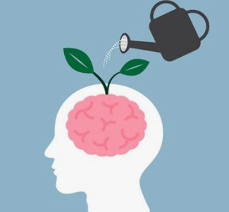 HOW MEDITATION AFFECTS THE BRAIN