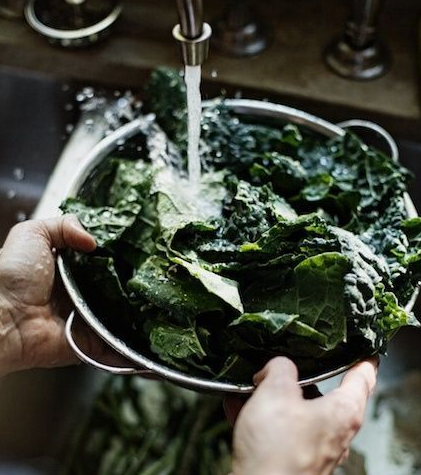 Why is Magnesium essential in our diet?