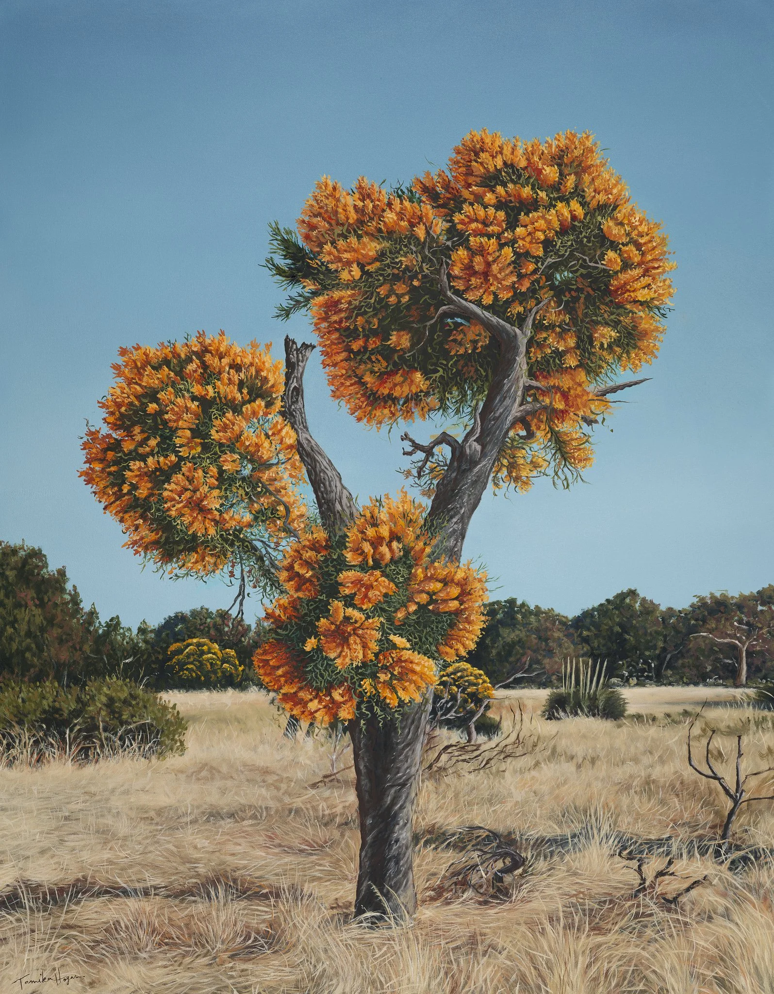 Moodjar Tree