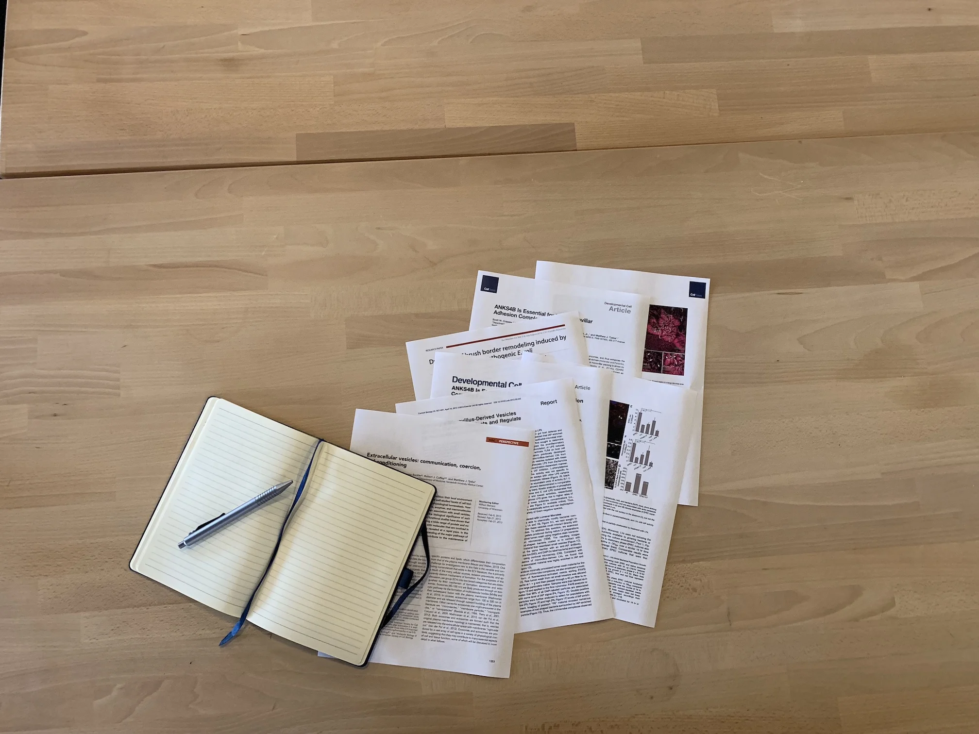 manuscripts and white papers.jpg