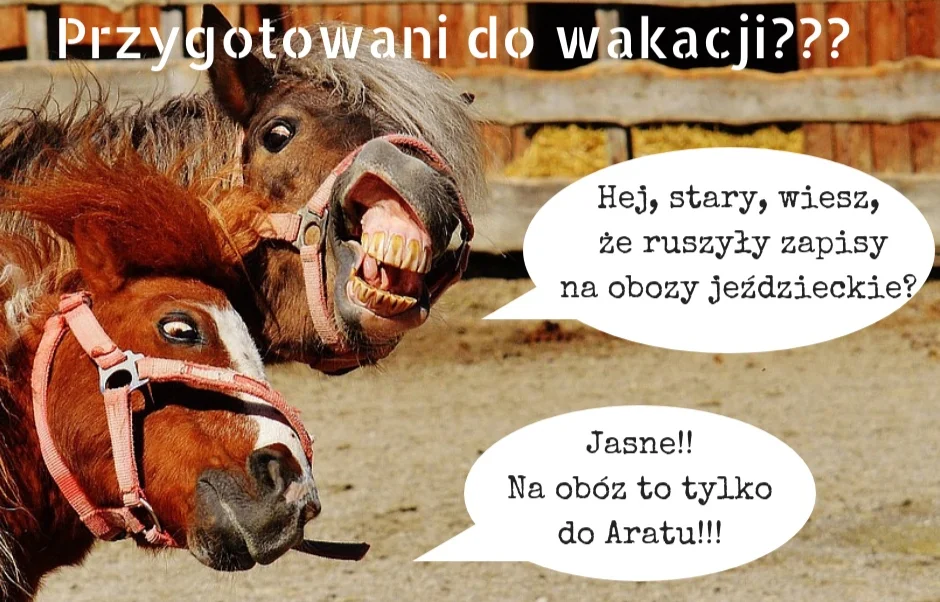 Zapisy+Obozy.jpg