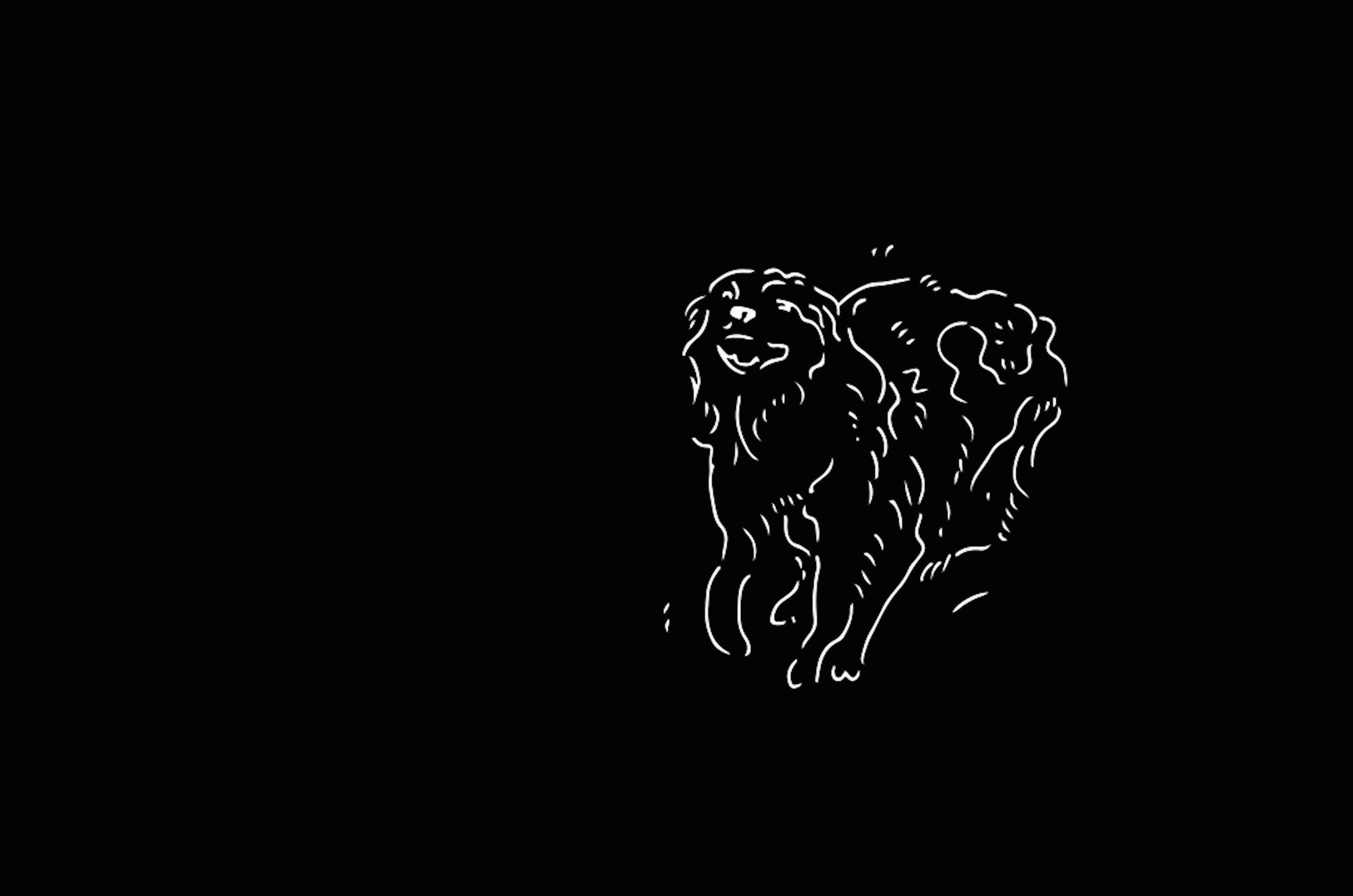 sadie 1_v2.gif