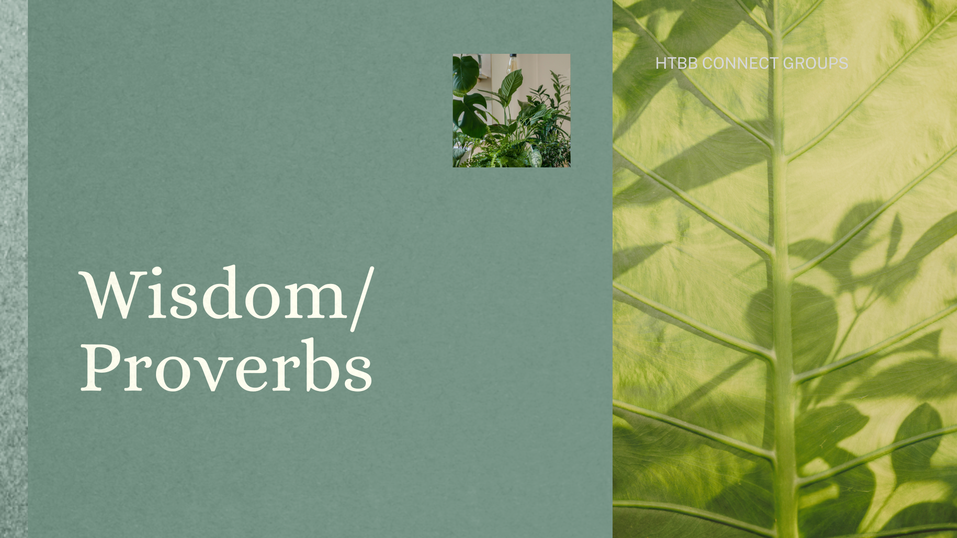 Wisdom/Proverbs | Sermon Series