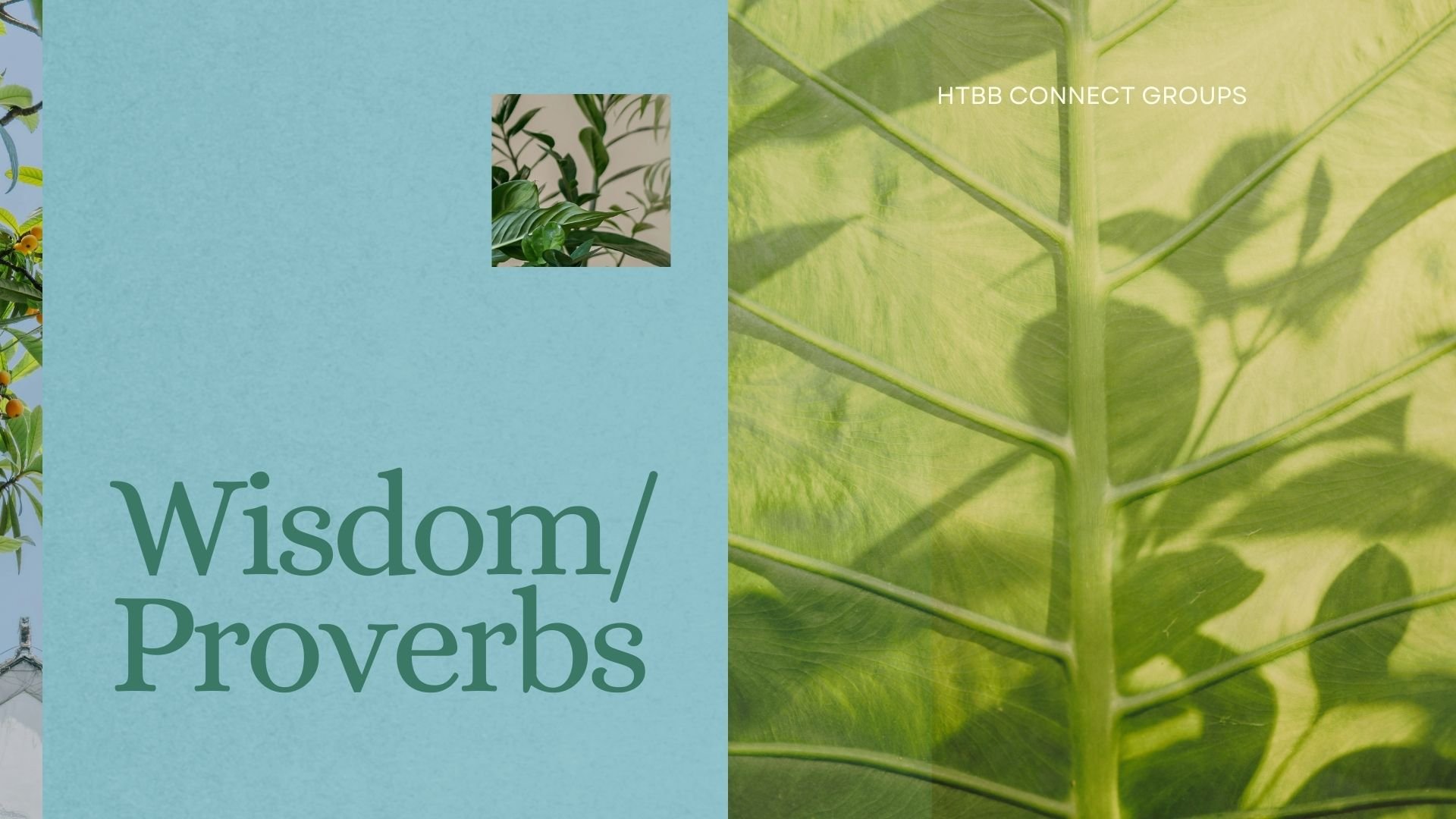 Wisdom/Proverbs | Sermon Series