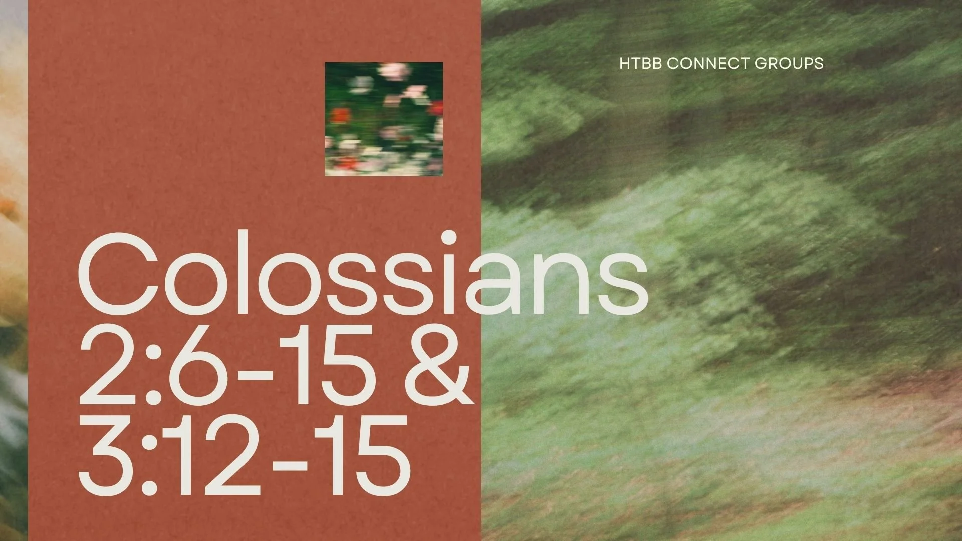 Colossians 2:6-15, 3:12-15 | 12 July 2026
