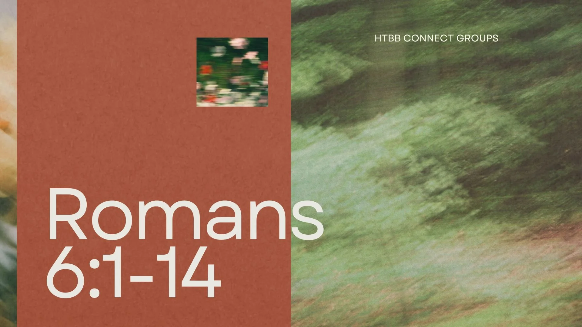 Romans 6:1-14 | 20 September 2026