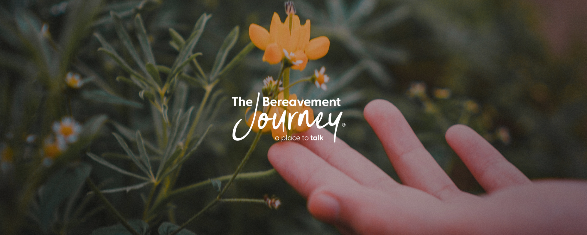 Squarespace Website (3).png