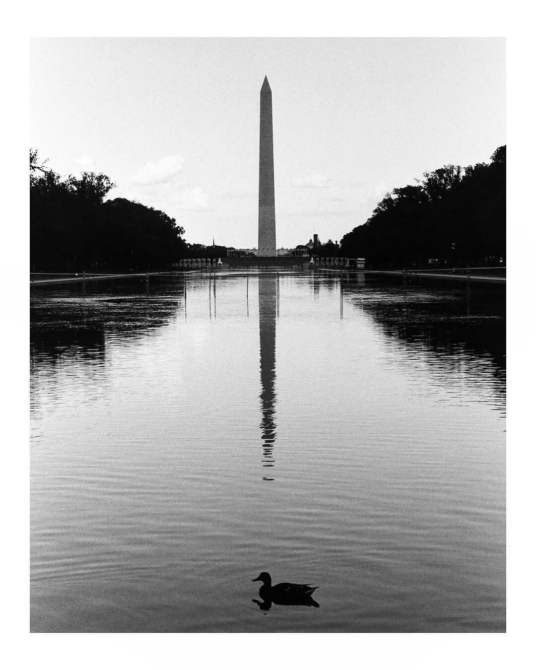 DC, july.
.
.
.
#theanalogclub #photofilmy #back2thebase #35mmbook #imaginarymagnitude #bordrs #goldmoony #staybrokeshootfilm #spi_collective #filmphotography #filmphotographic #bnwphotography #streetphoto_bw #streetphotography #blackandwhite #analog