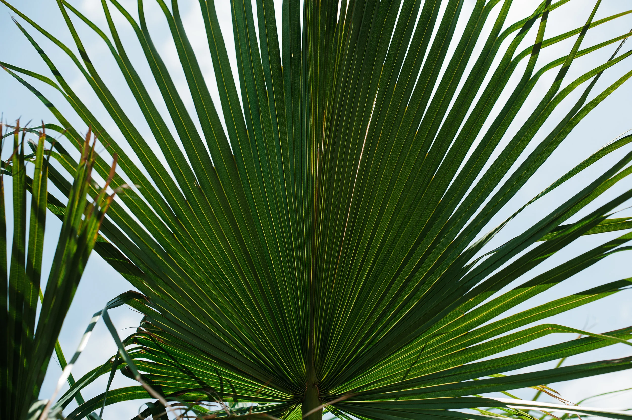 JA1_8019.jpg