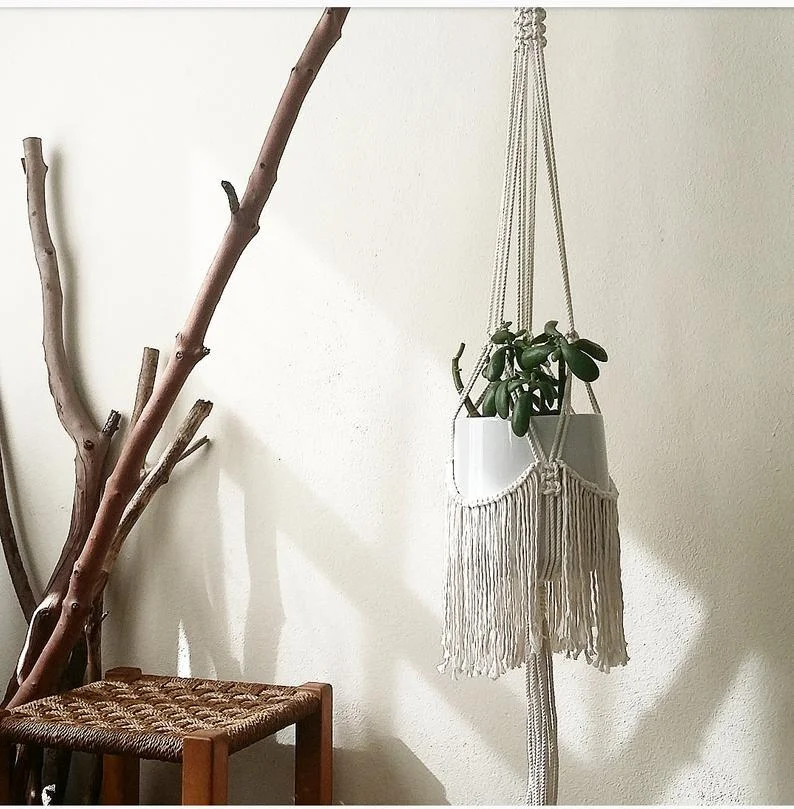 fringed plant hanger.jpg