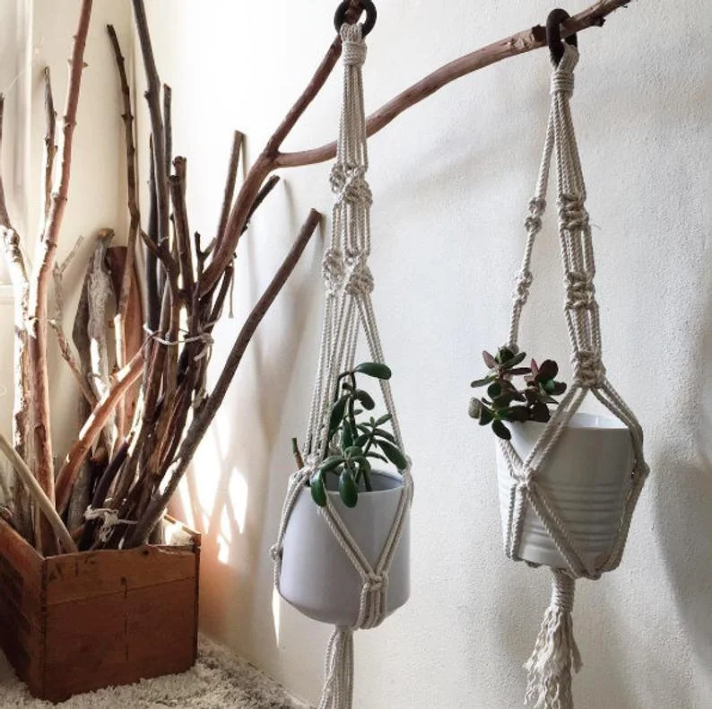 Basic plant hanger.jpg