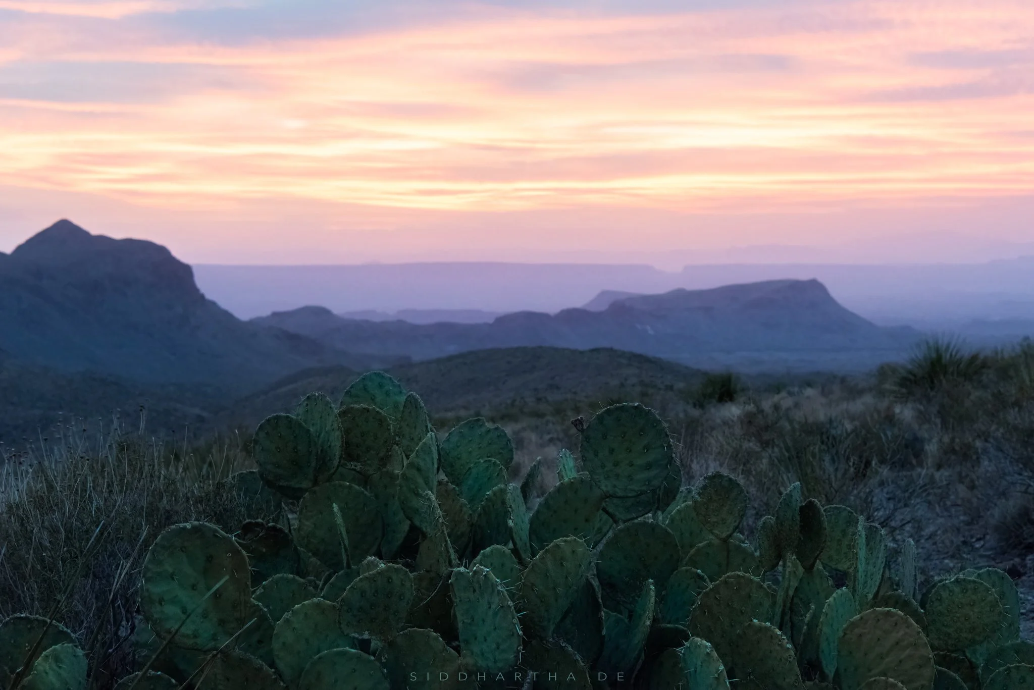  BIG BEND NATIONAL PARK, TEXAS, NOVEMBER 2021 