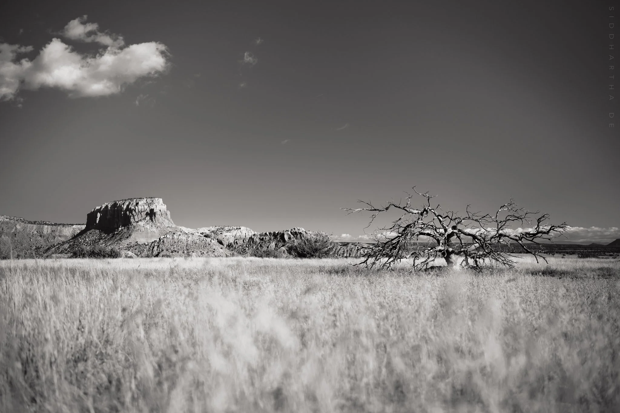  THE GHOST RANCH, ABIQUIÚ, NM, OCTOBER 2022 