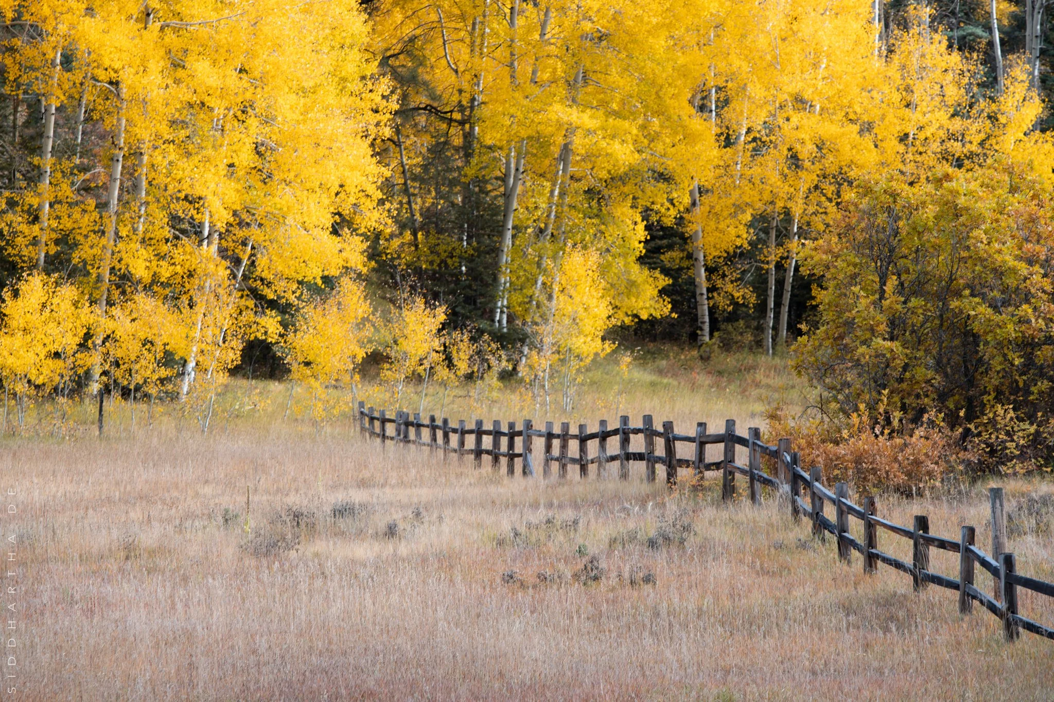  MORA COUNTY, NM, OCTOBER 2022 