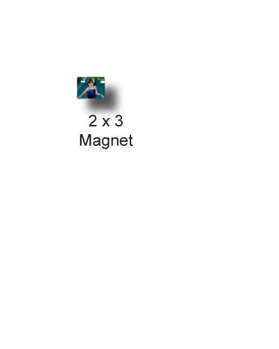 magnet.jpg