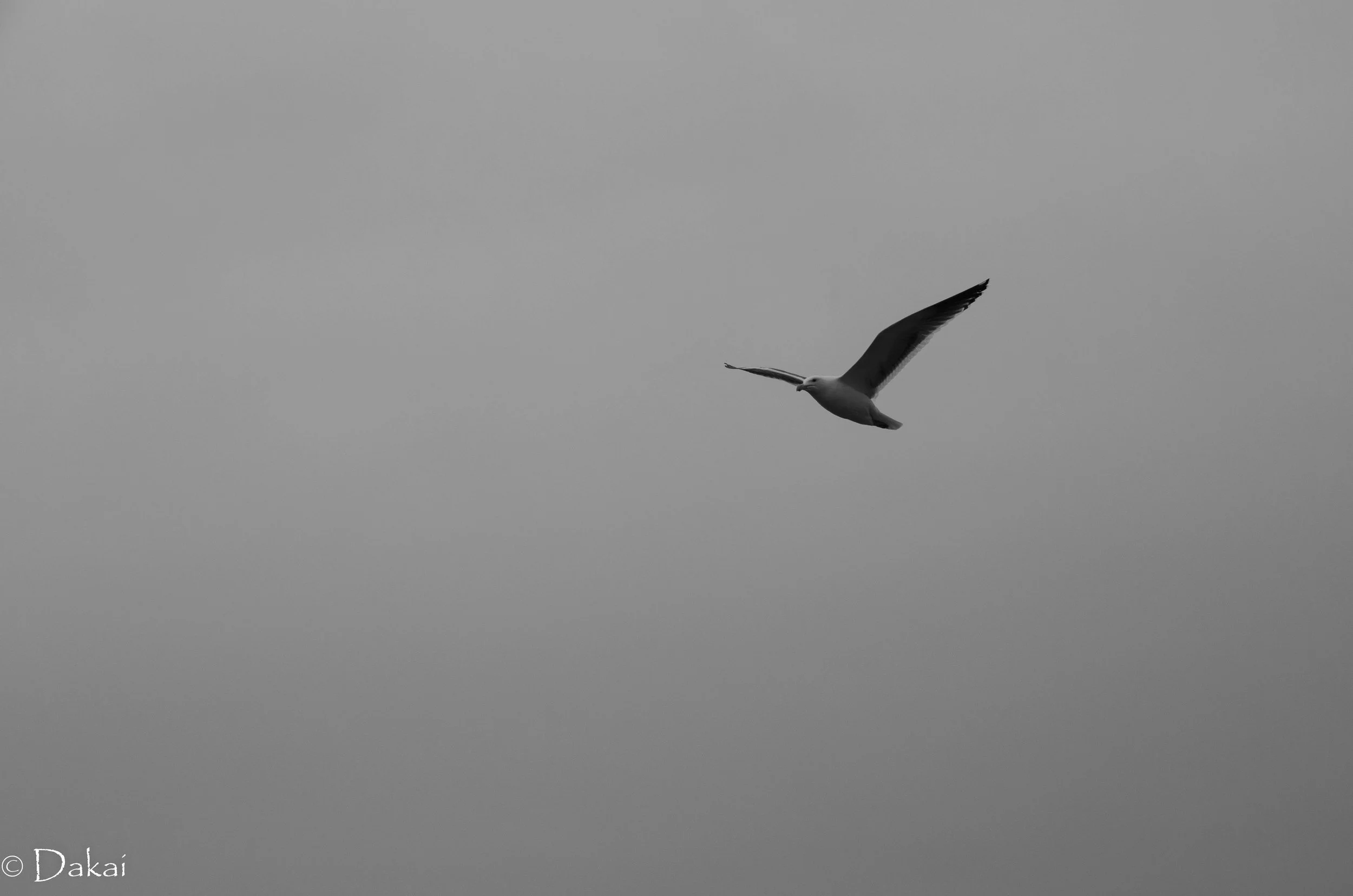 8K8A8586.jpg