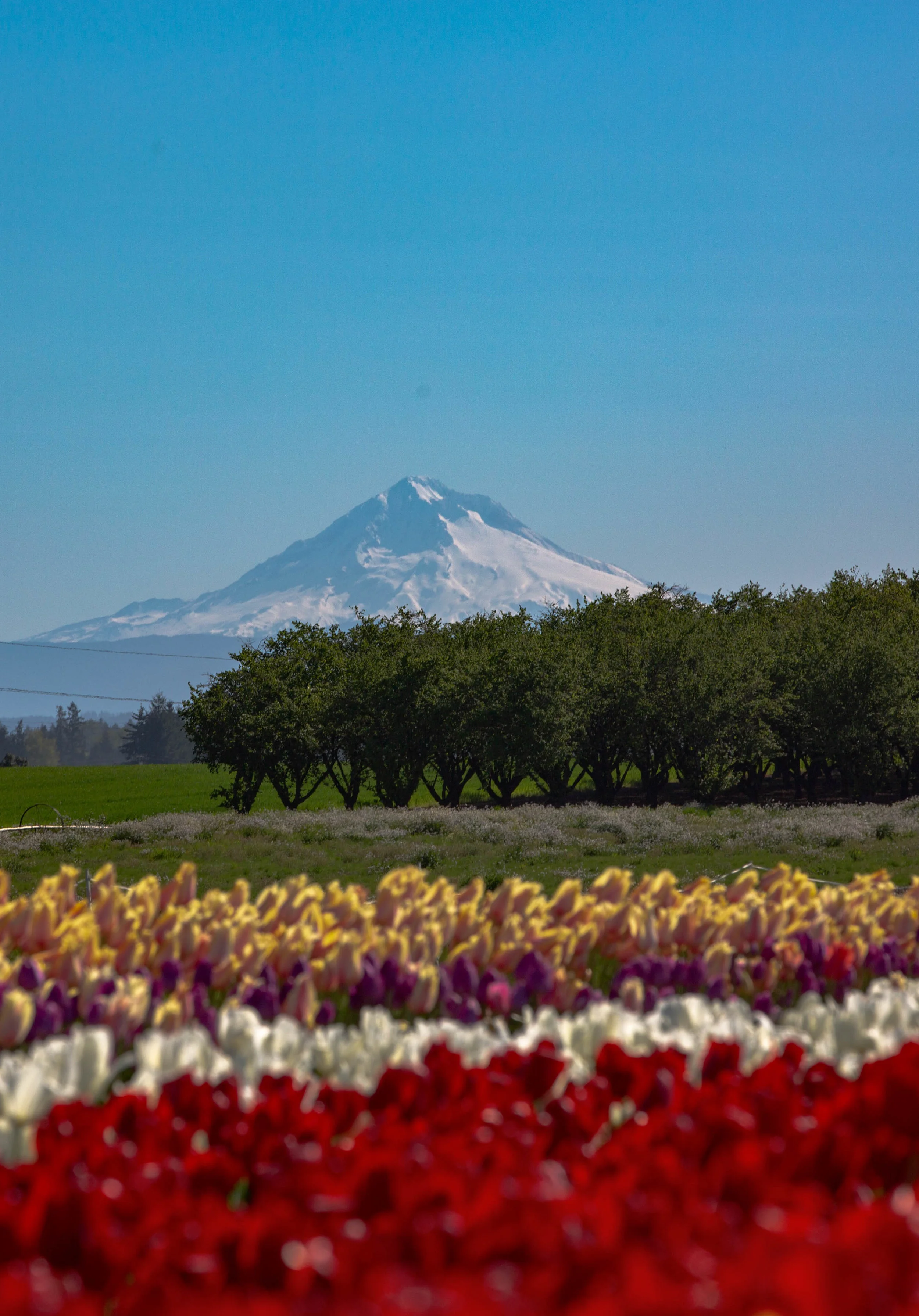 8K8A8819-Edit.jpg