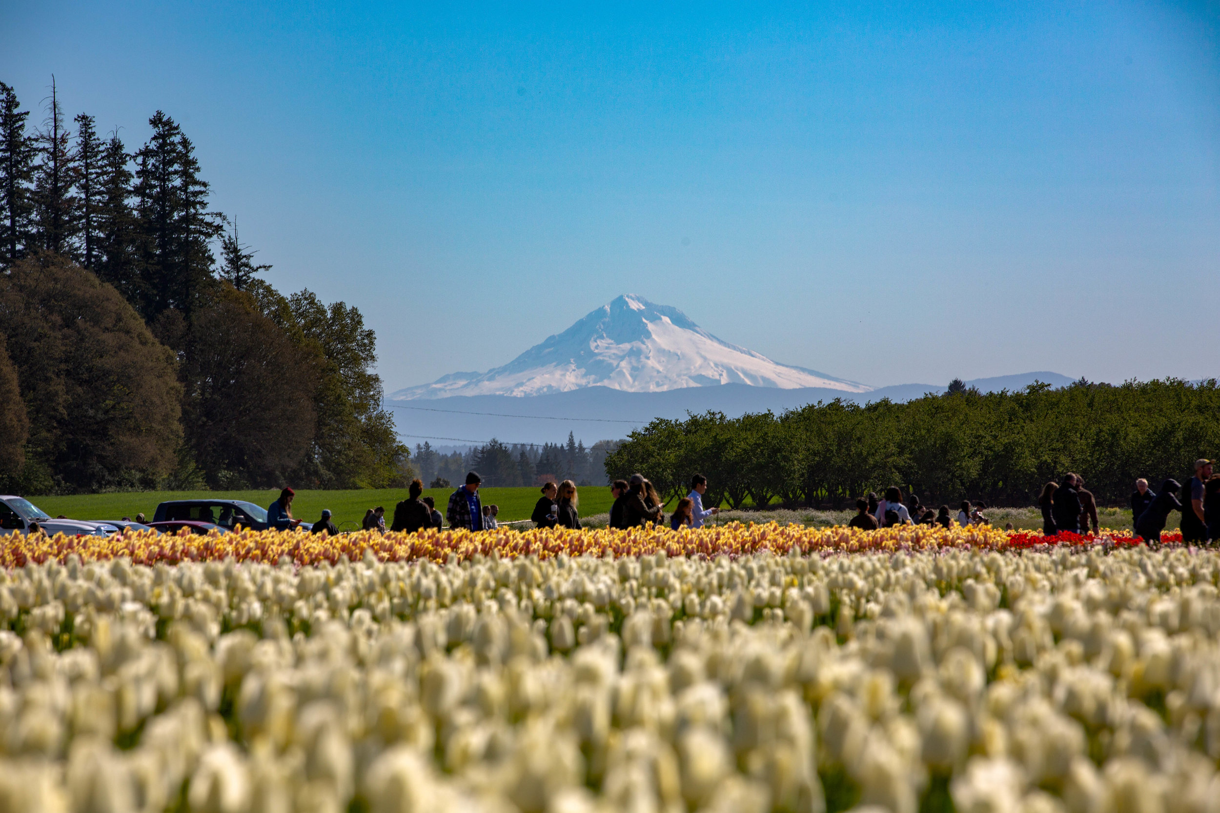 8K8A8839-Edit.jpg