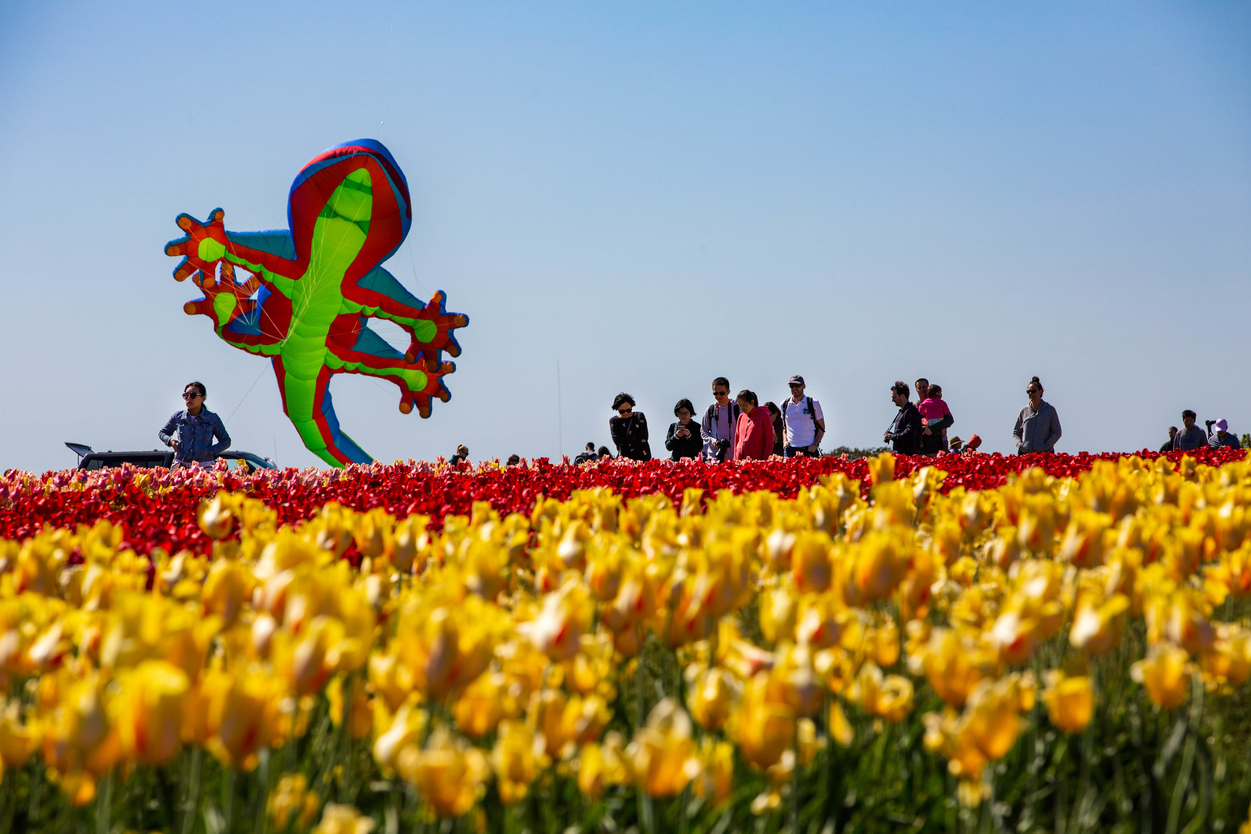 8K8A8991-Edit.jpg