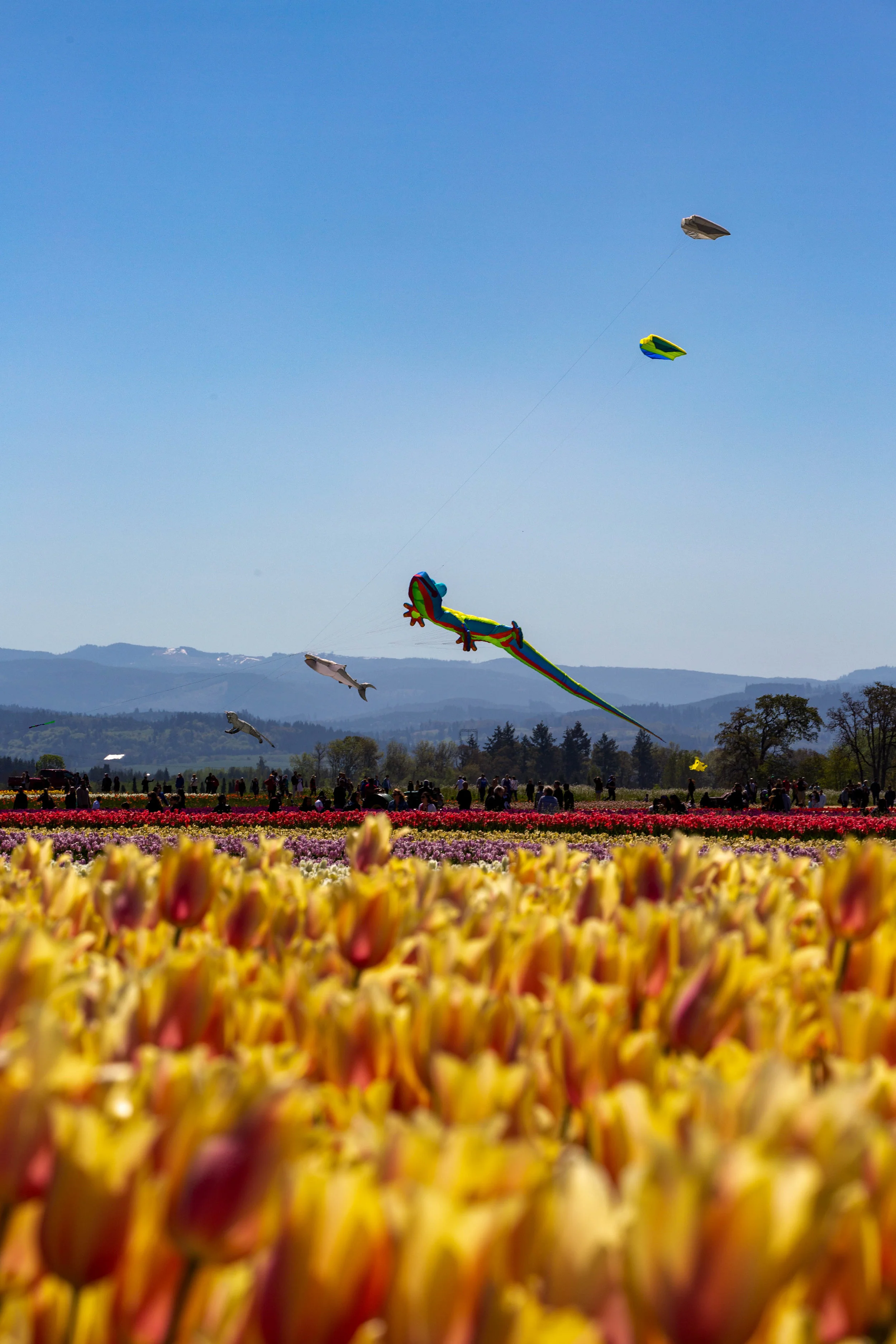 8K8A9102-Edit.jpg