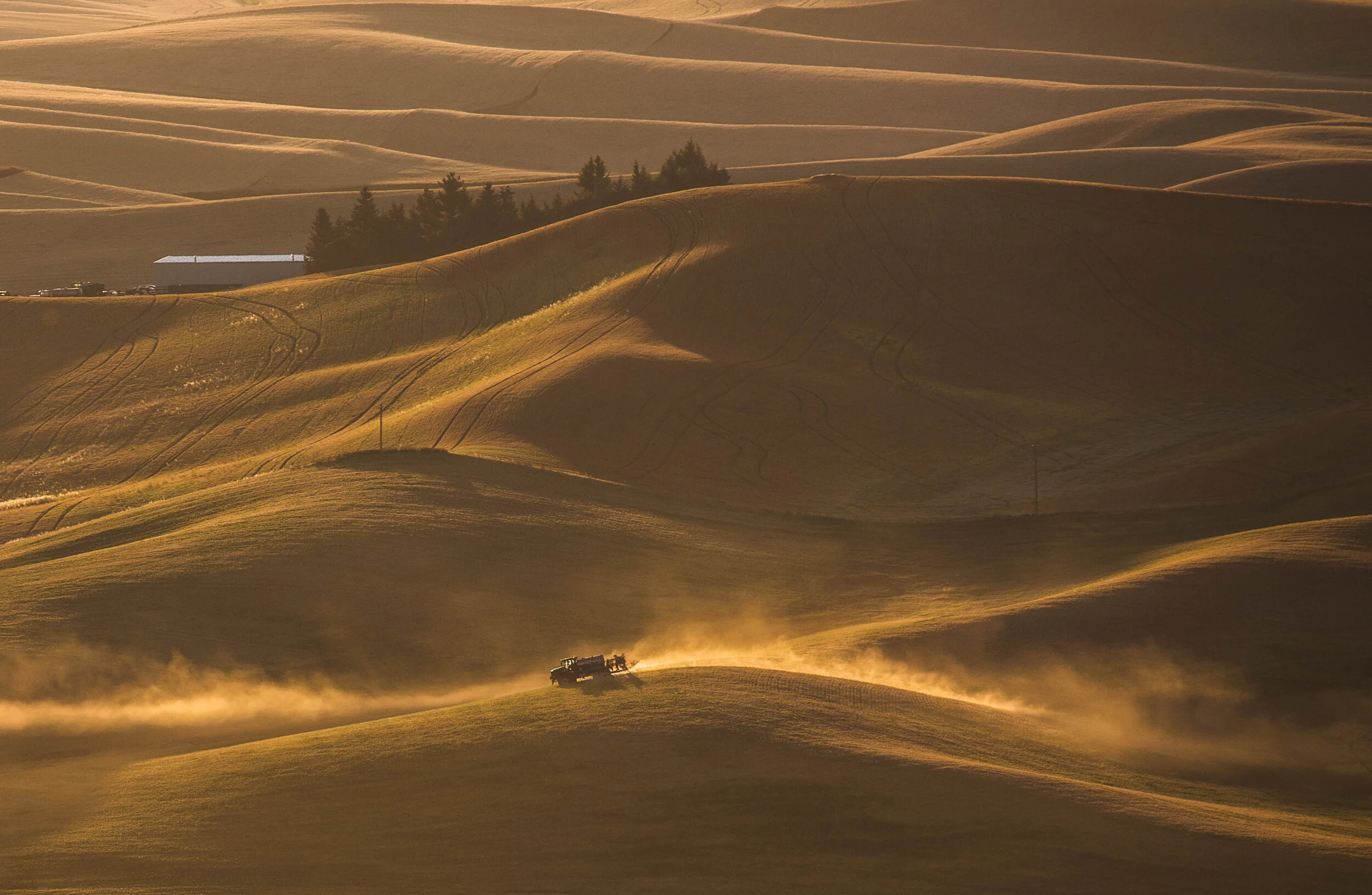 8K8A9911-Edit.jpg