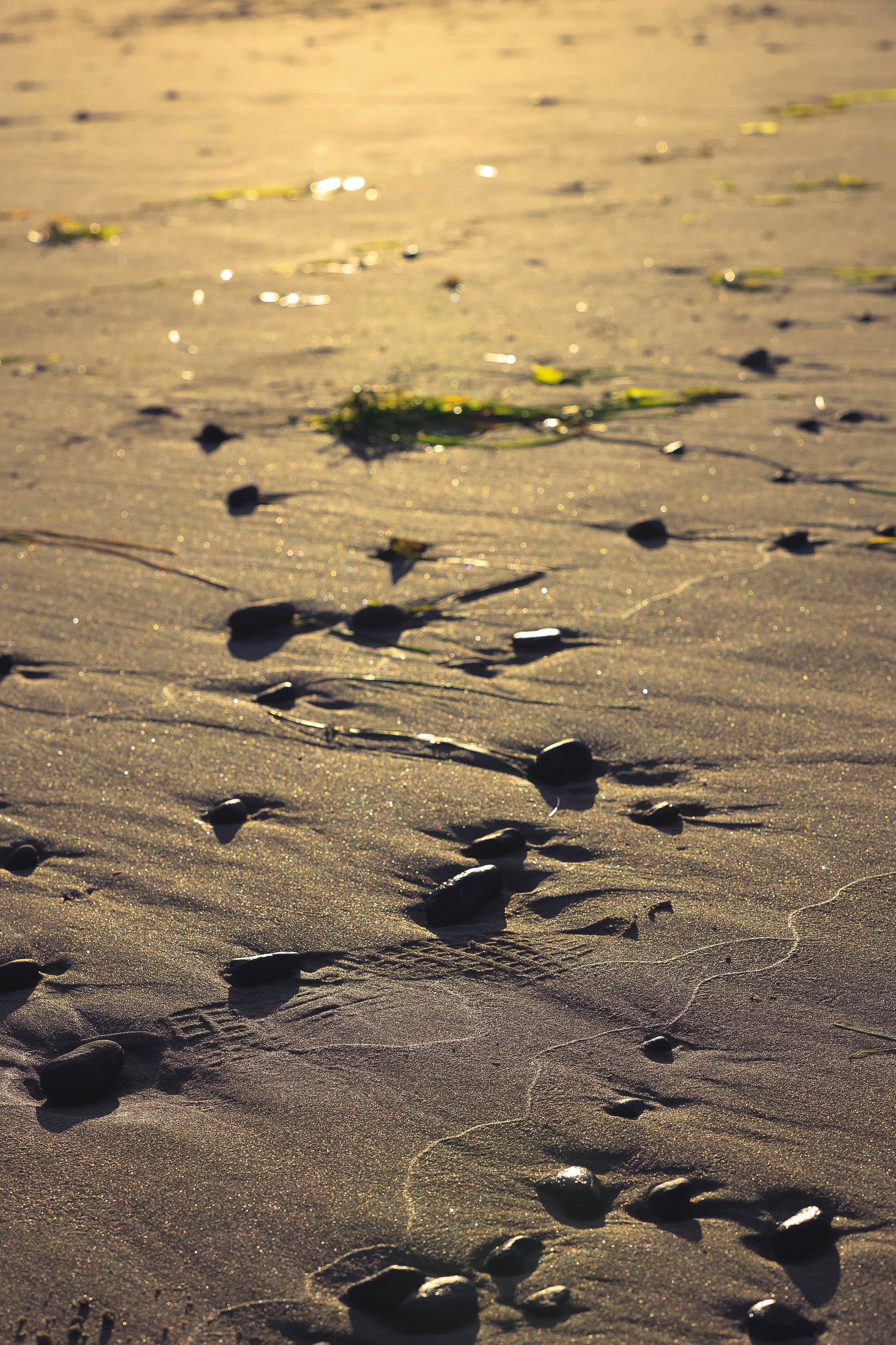 0Y8A0420-Edit.jpg