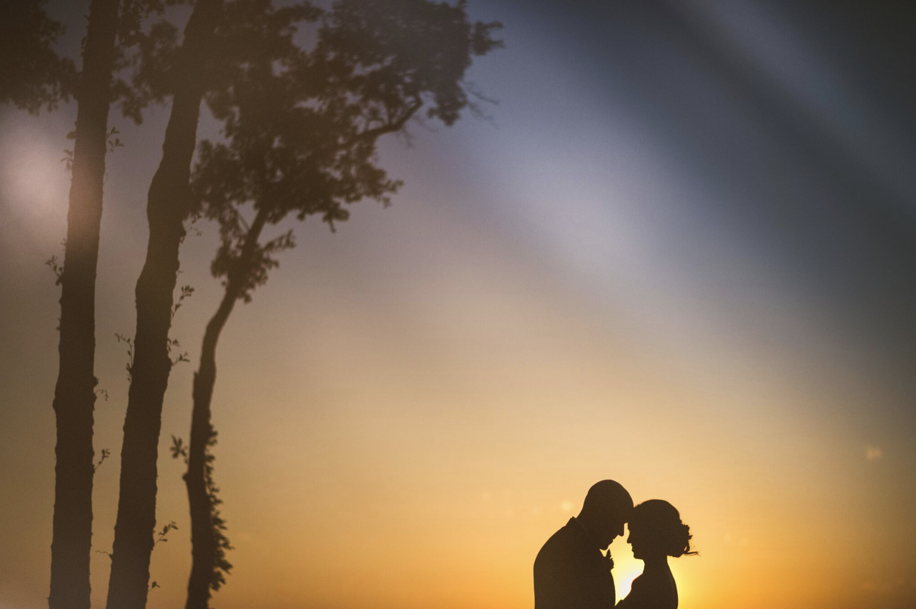 Silhouettes - Sam Hurd
