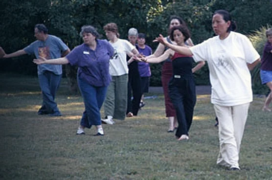 Ling Gui International Healing Qigong School