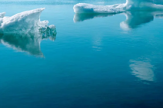 Natural Resources Defense Council (NRDC)