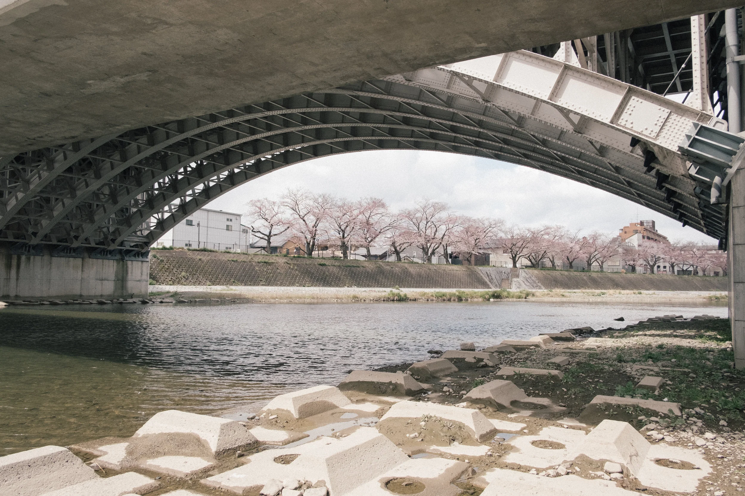 KAMO RIVER - 2019