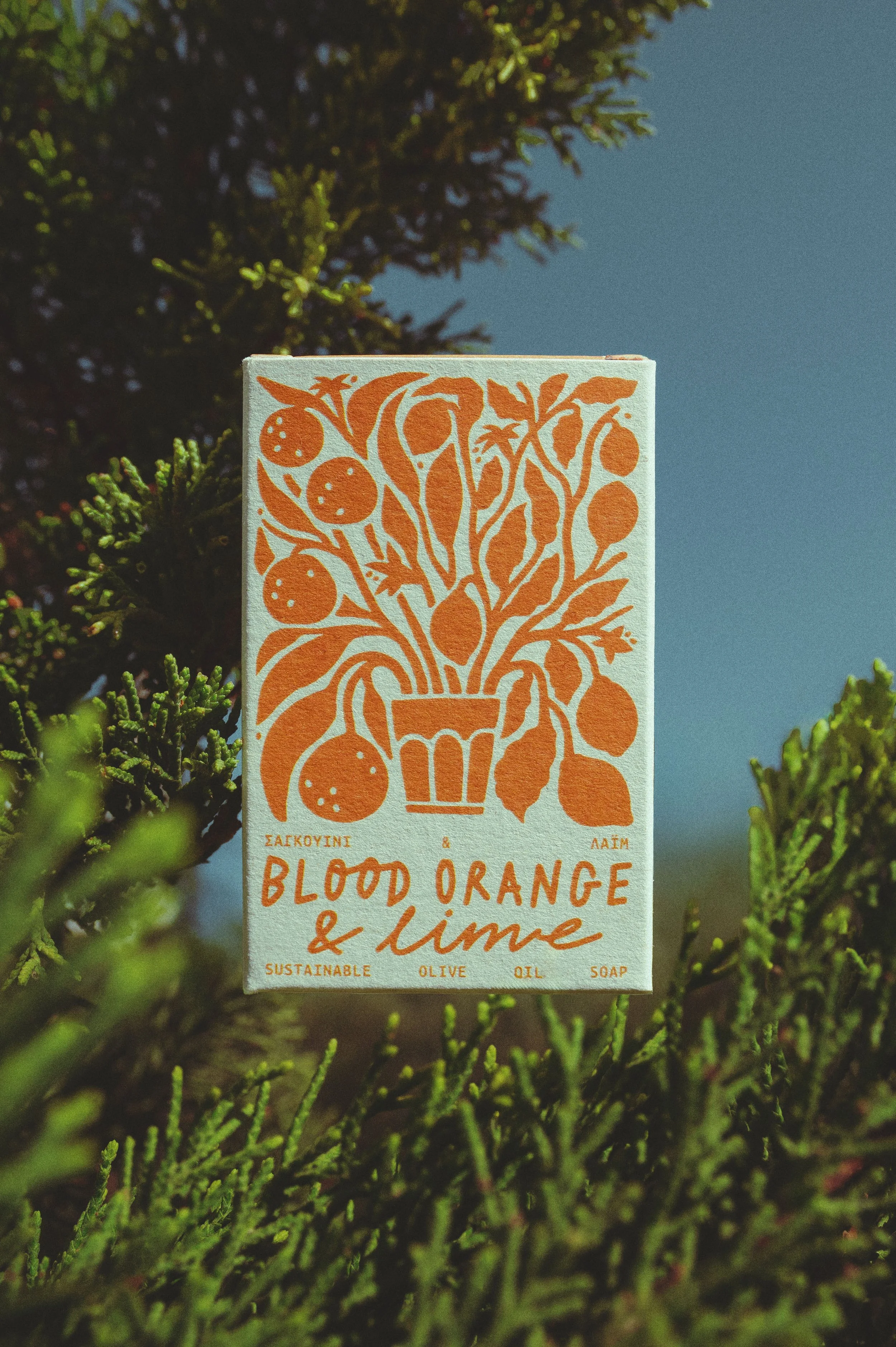 6. Blood orange & Lime (product).jpg