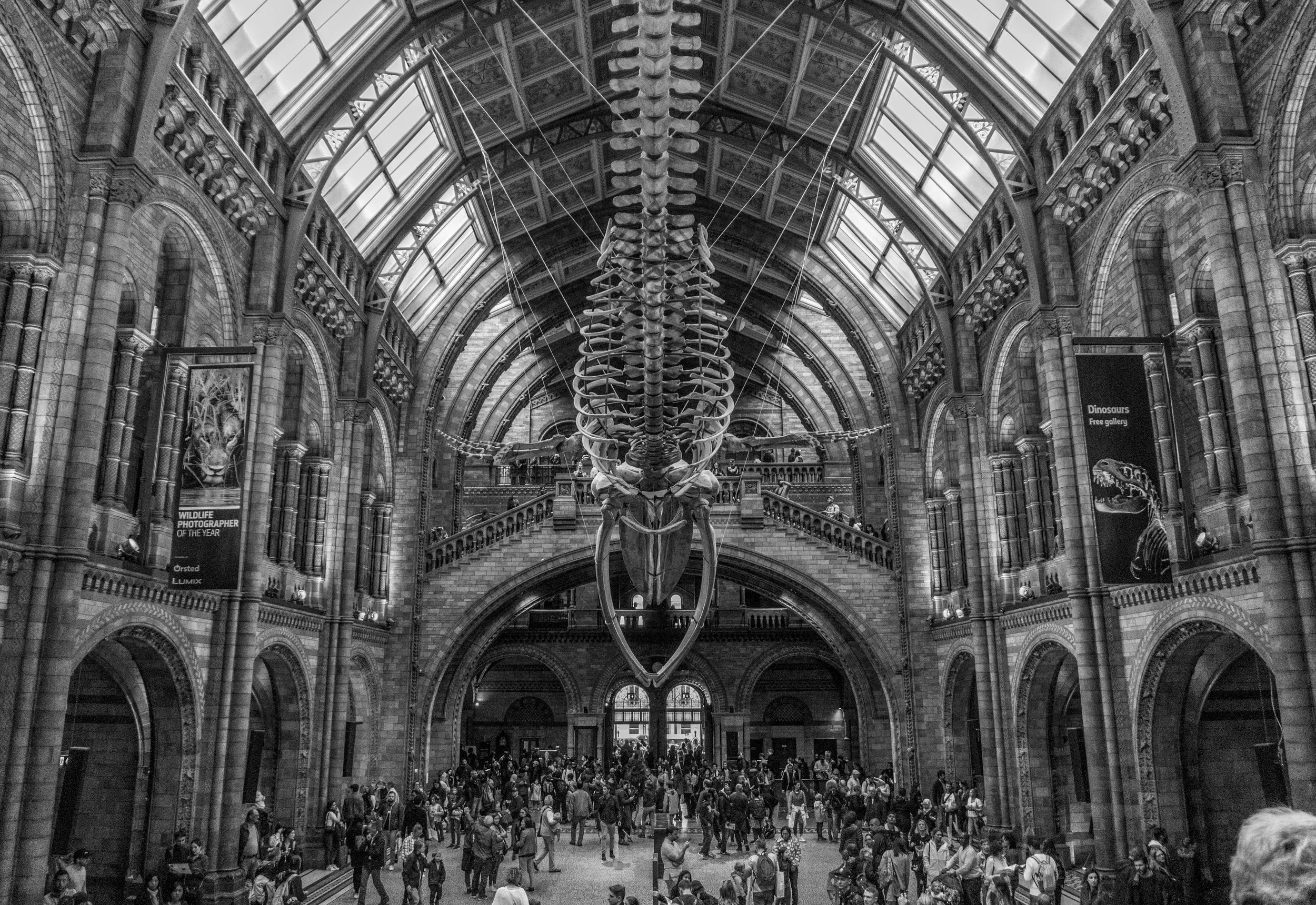 Identify the real essence of your story