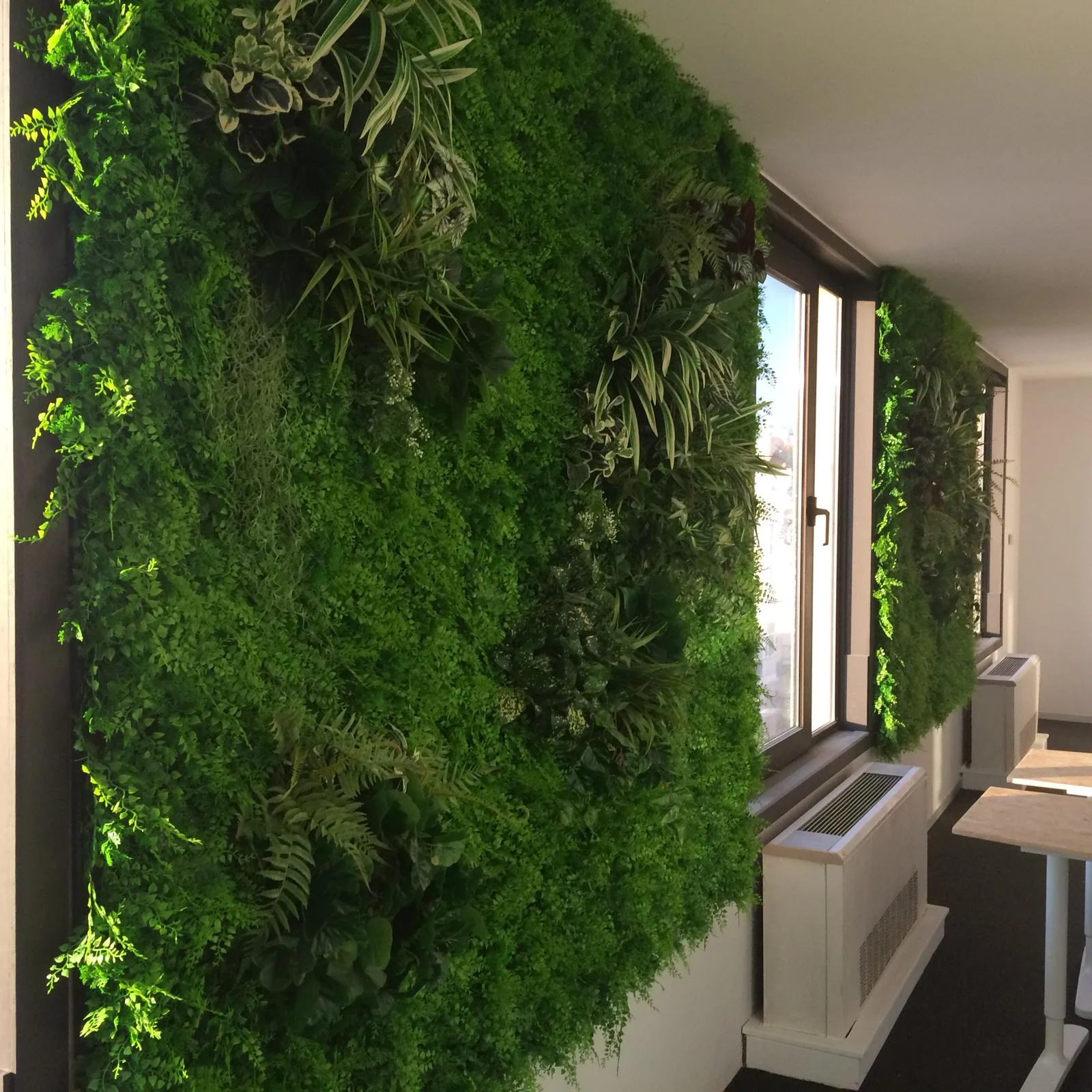 WhatsApp Image 2018-06-26 at 20.30.05 (1).jpeg