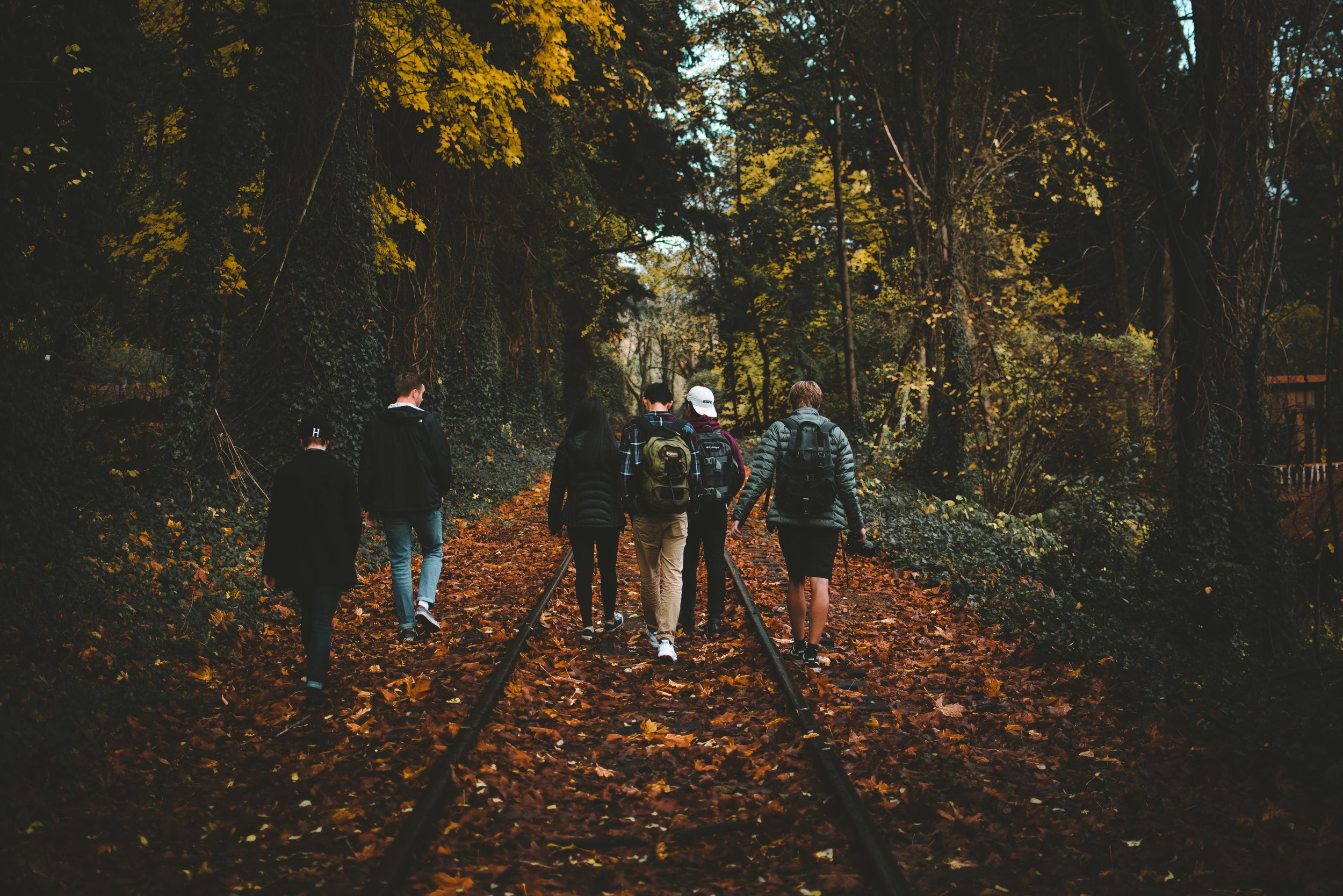 anthony-intraversato-455600-unsplash.jpg