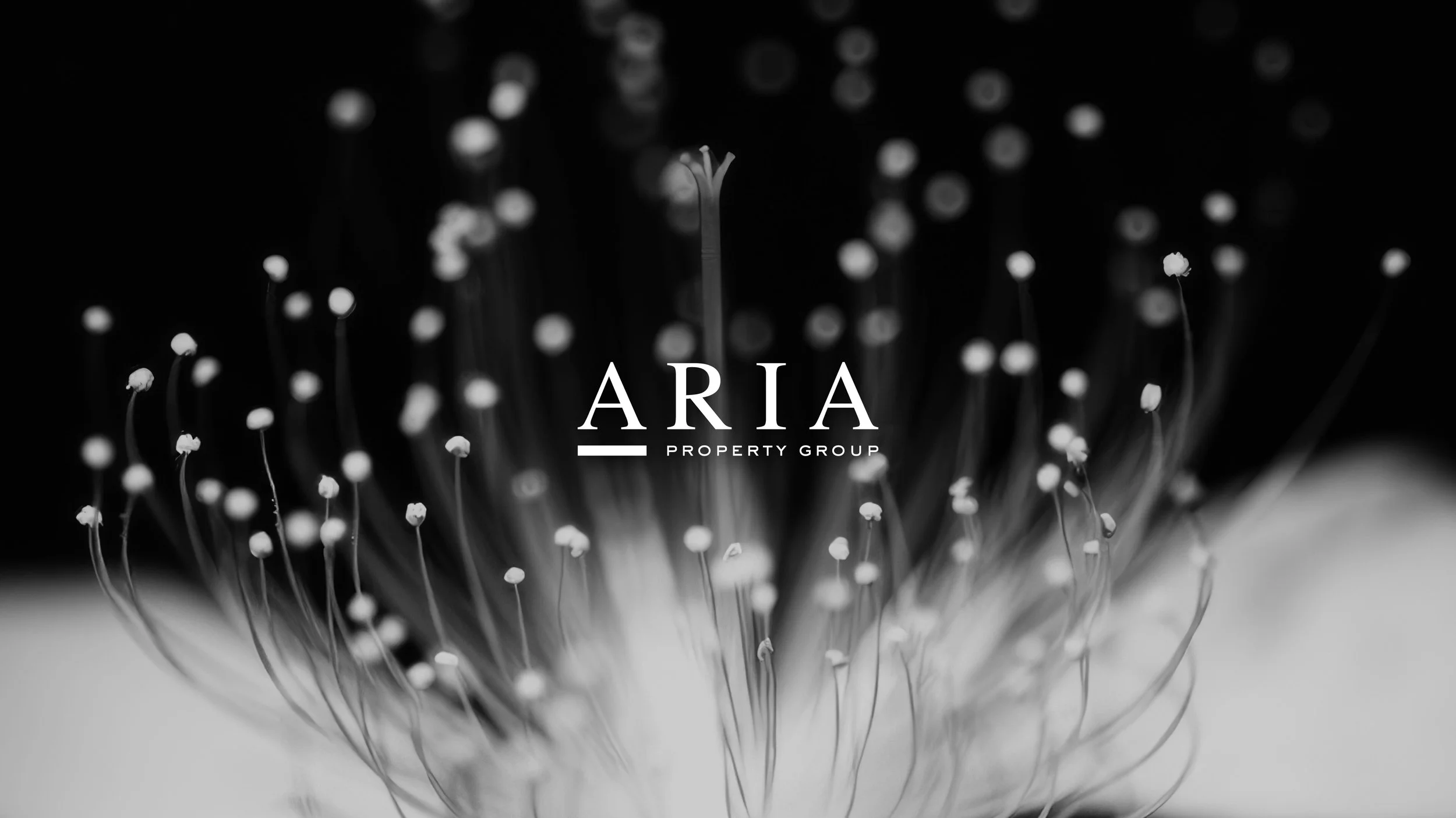 Aria1.jpg