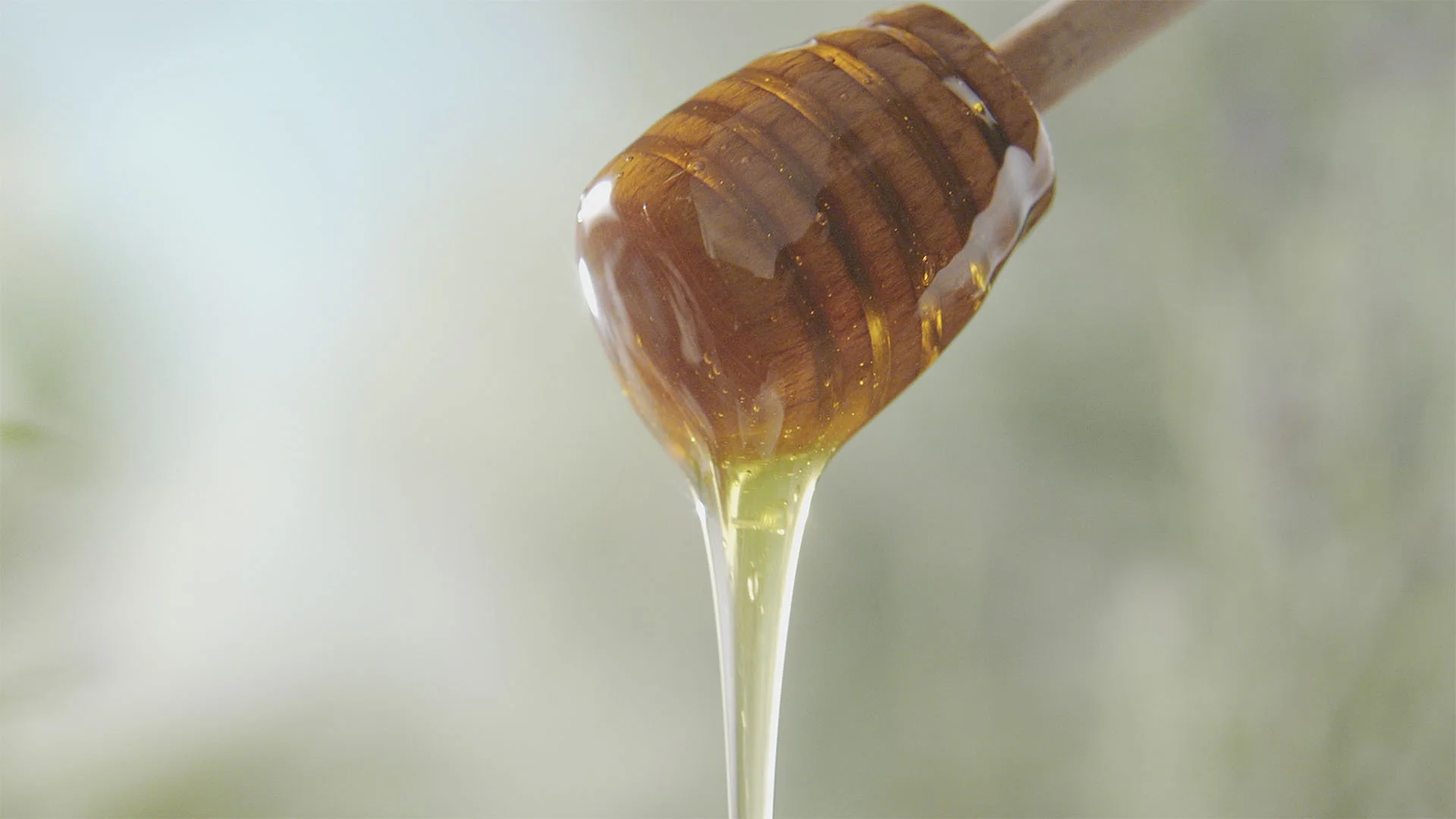 GRANJA SAN FRANCISCO - MIEL