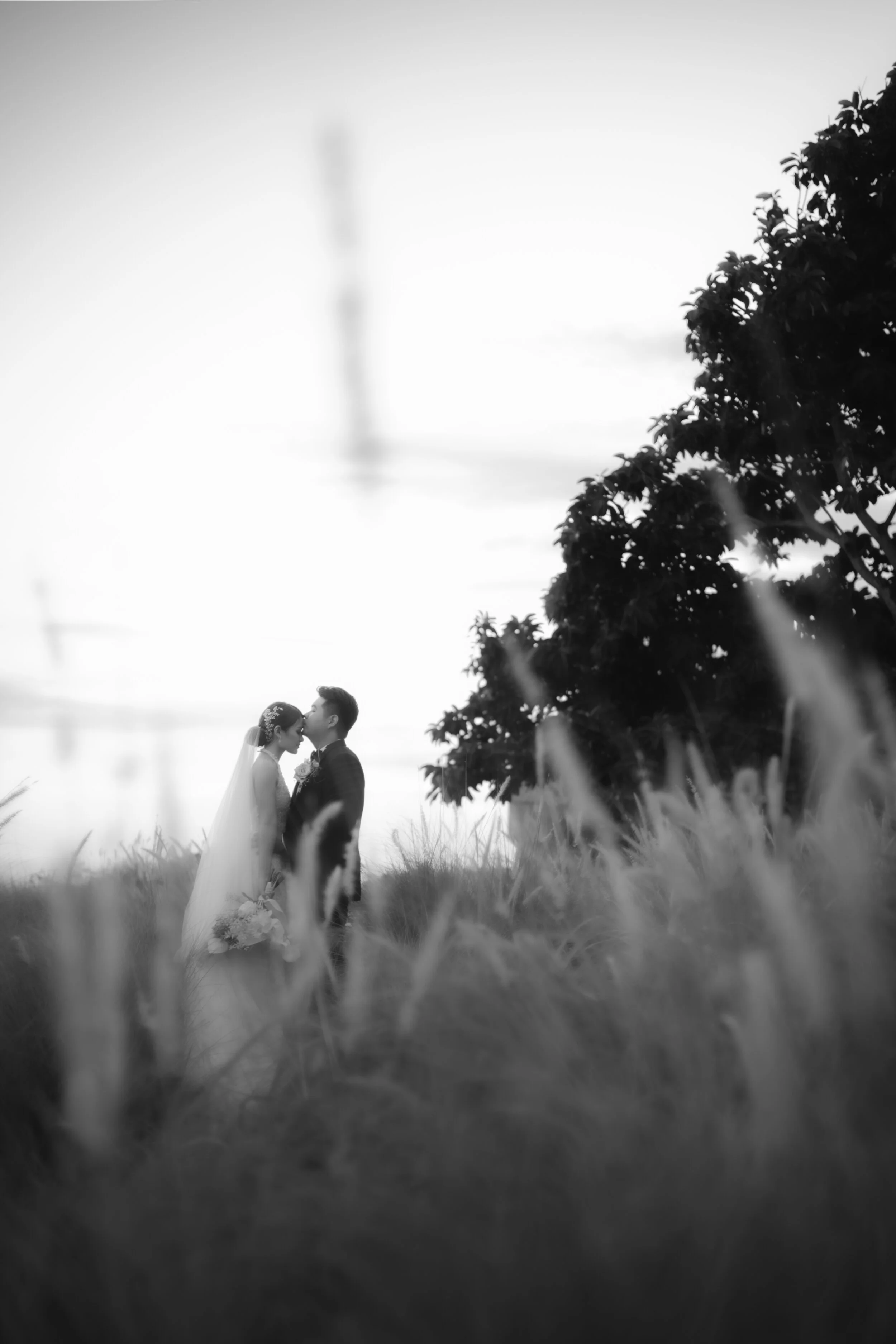 Calvin & Priskila WD edit-748.jpg