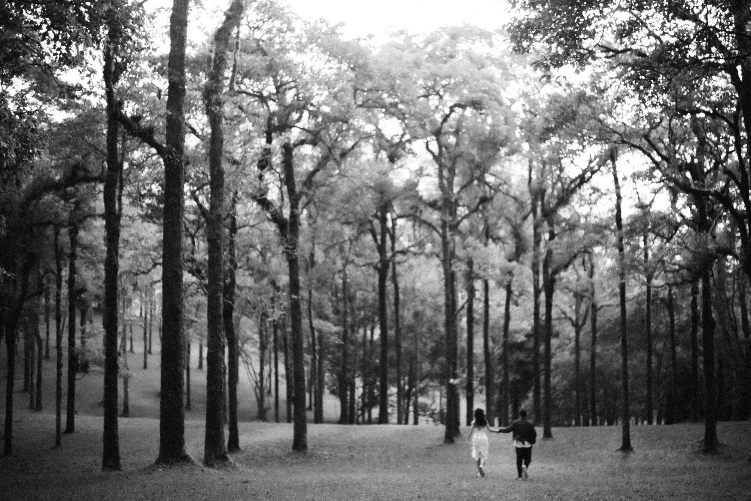 Guntur & Clarissa PW edit-170Resized.jpg