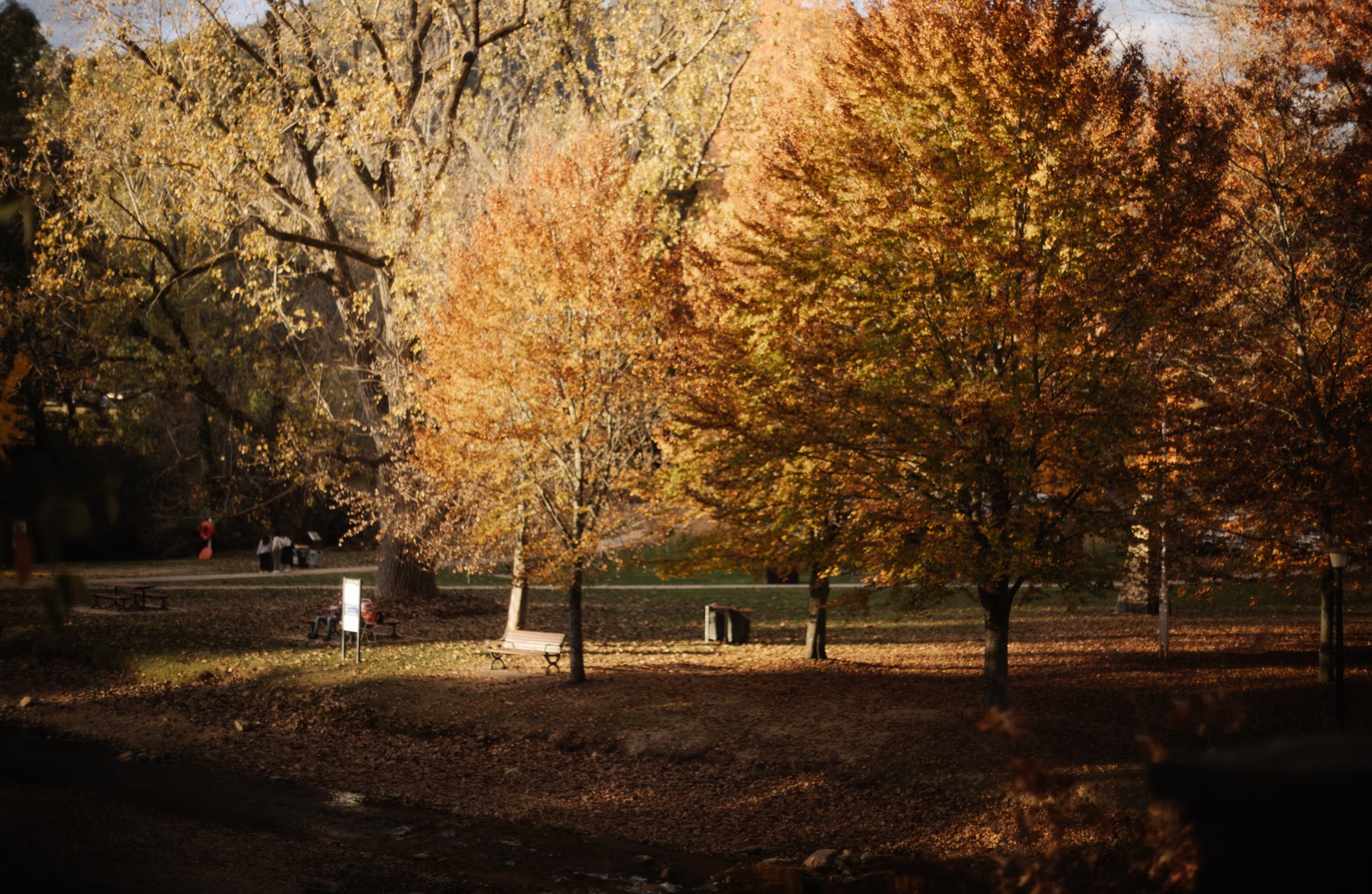 Kenny & Saskia - Melbourne Prewedding by Helgi - 48.JPG