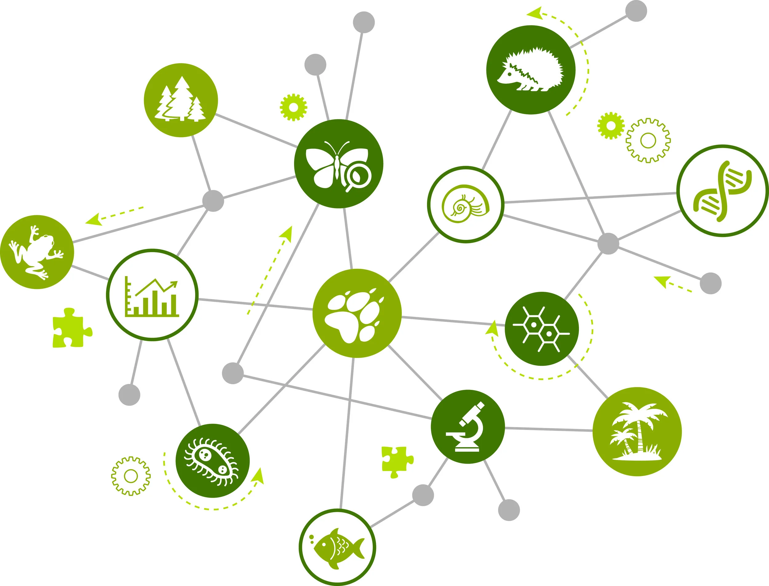 Biodiversidad, nuestro futuro