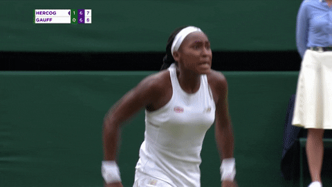 giphy-1.gif