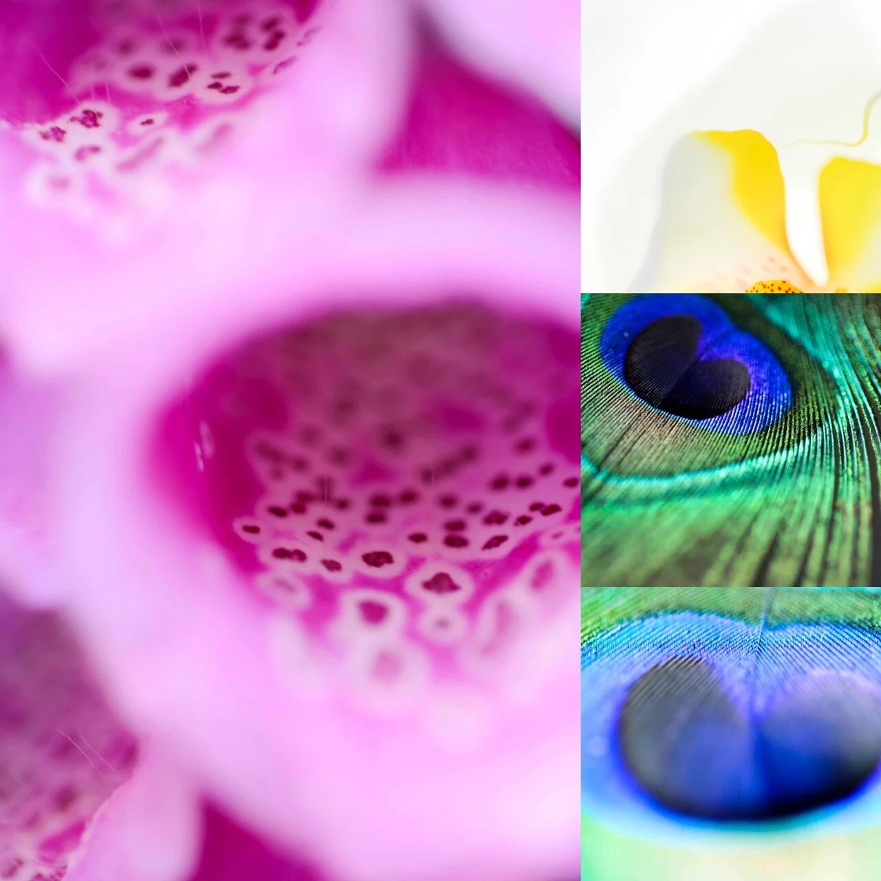 Spring art is here!