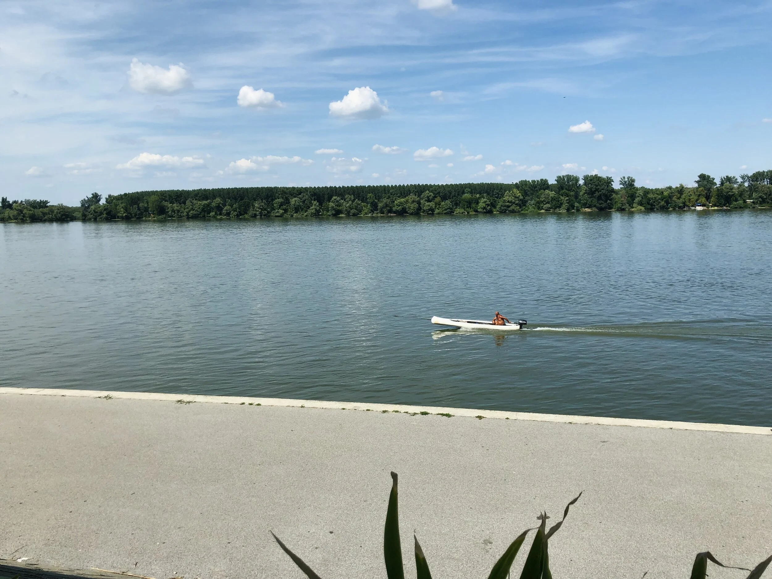 IMG_3350.jpg