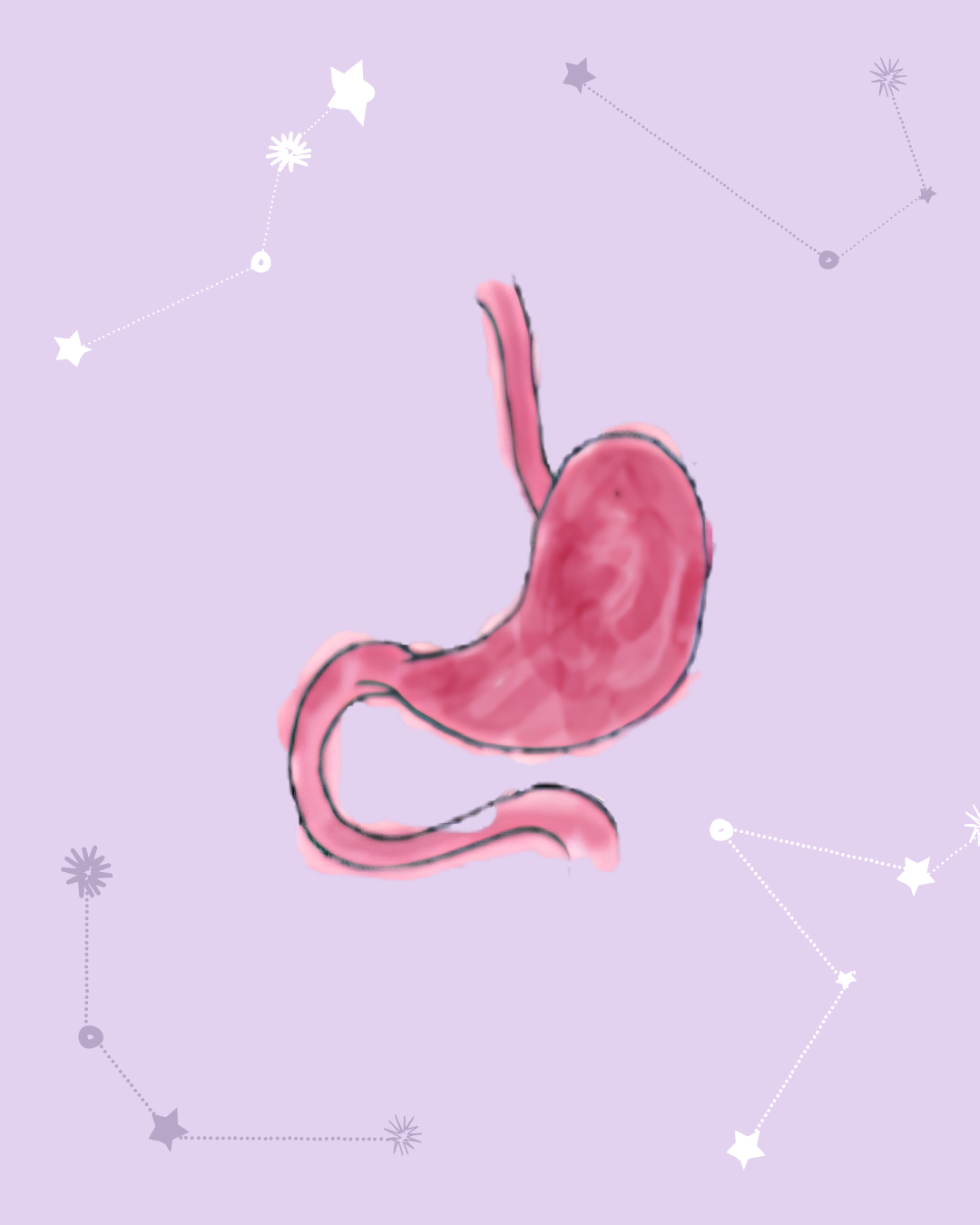A hand-drawn, watercolor-style illustration of a human stomach in shades of pink and red. It is set against a soft lavender background decorated with delicate white star constellations and small sparkling symbols.